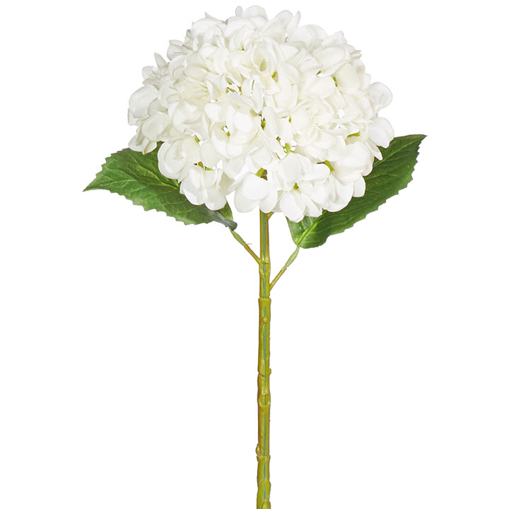 Hydrangea stem, white, 20 in